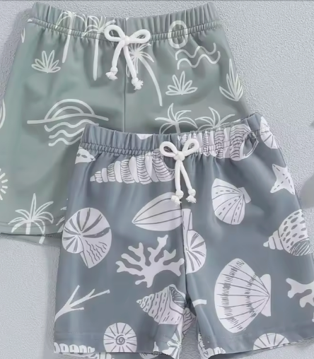 Noah Swim Shorts