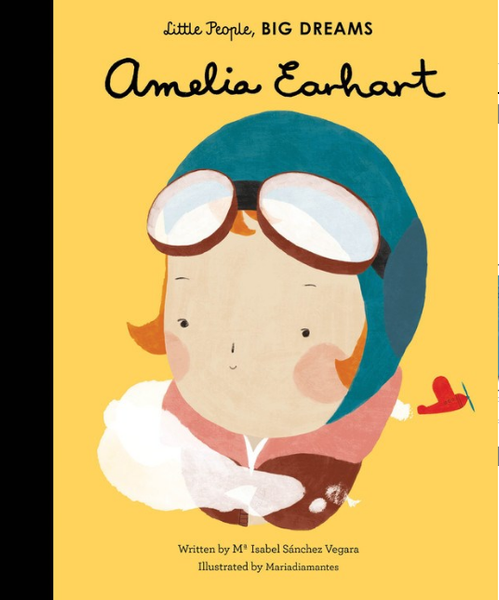 Amelia Earhart Children's Book